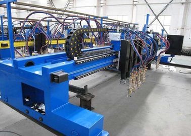 多フレーム切断のトーチが付いている自動ガントリー タイプCNC血しょう打抜き機