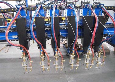 多フレーム切断のトーチが付いている自動ガントリー タイプCNC血しょう打抜き機