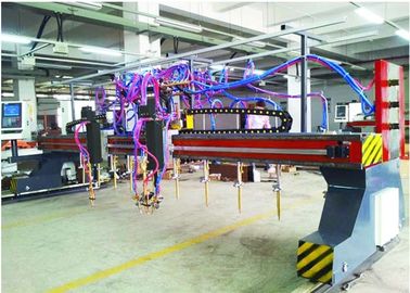 CNC5-5000X14000ガントリー タイプ複数のヘッドのストリップの炎および血しょう打抜き機9+1+1